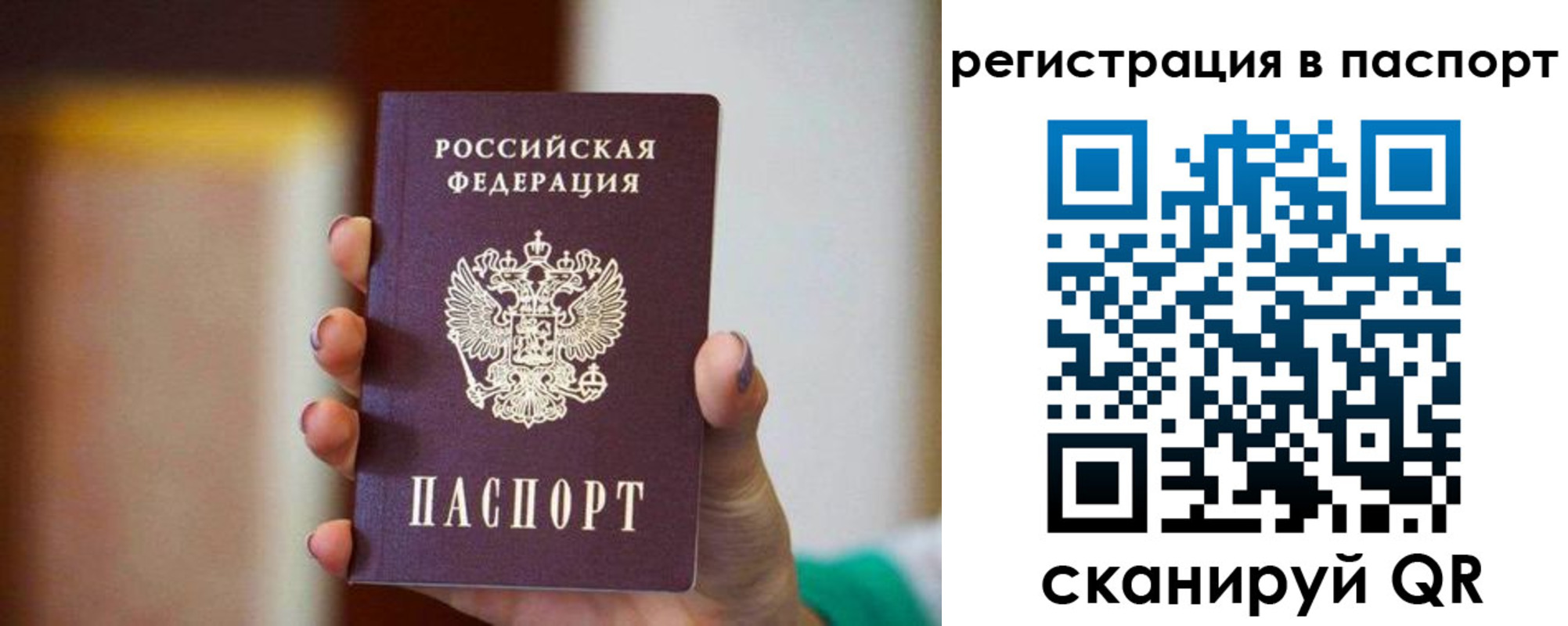 временная регистрация гарантия в Михайловске