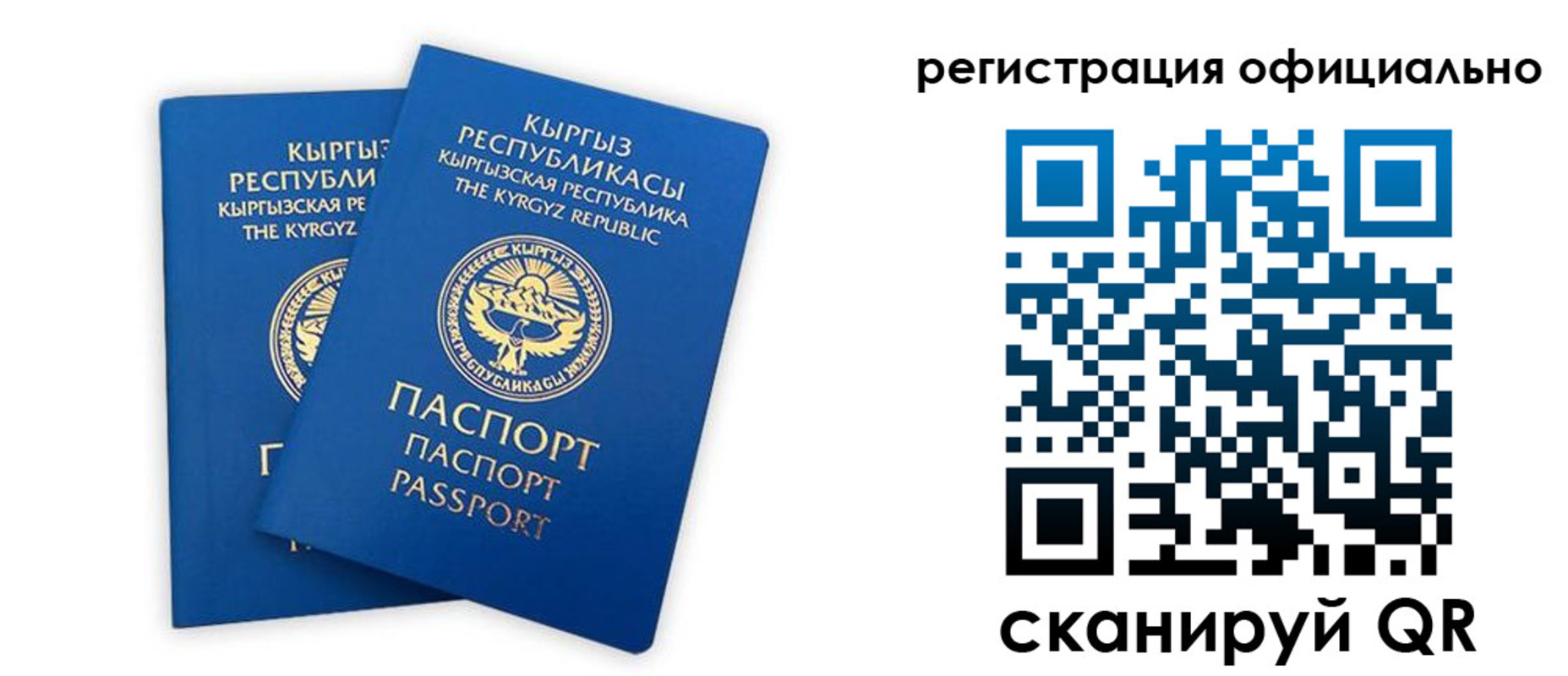 прописка поиск в Михайловске